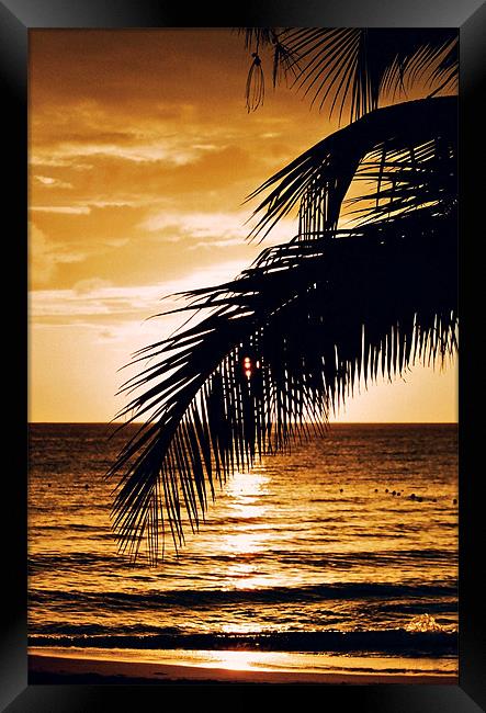 Caribbean Sunset, Barbados Framed Print by David Gardener