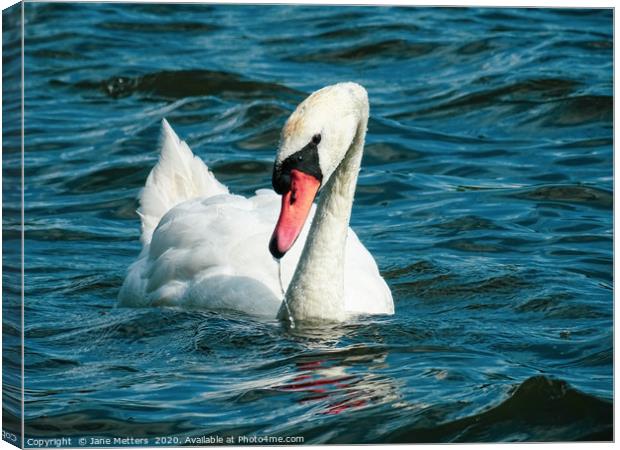 Choppy Waters Canvas Print by Jane Metters