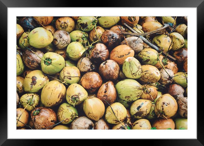 coconuts displayed at the market Framed Mounted Print by federico stevanin