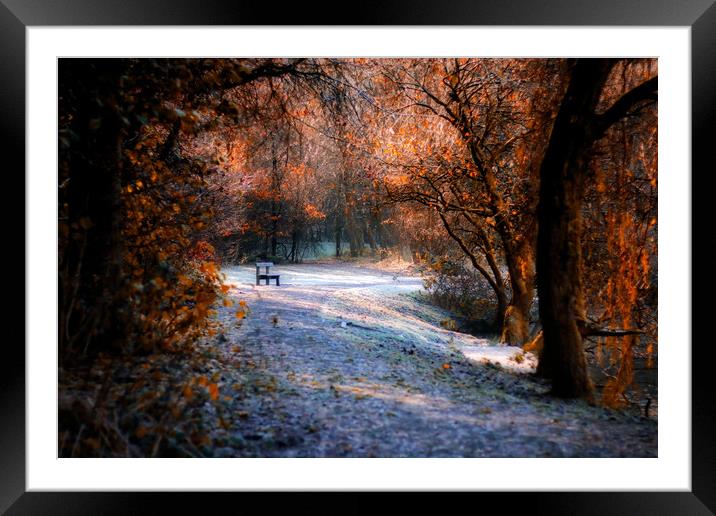 Tranquil Forest Bench Framed Mounted Print by Simon Marlow