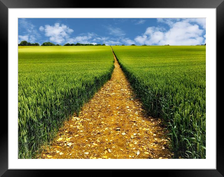 Golden pathway through a crop field Framed Mounted Print by Simon Marlow
