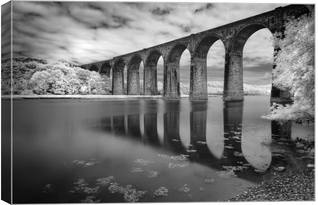 Viaduct Reflections, St Germans, Cornwall Canvas Print by Mick Blakey