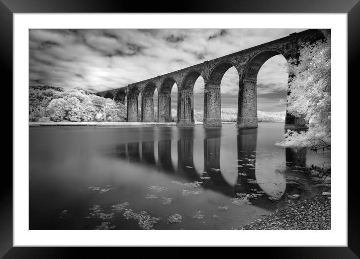 Viaduct Reflections, St Germans, Cornwall Framed Mounted Print by Mick Blakey