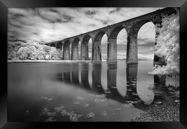 Viaduct Reflections, St Germans, Cornwall Framed Print by Mick Blakey