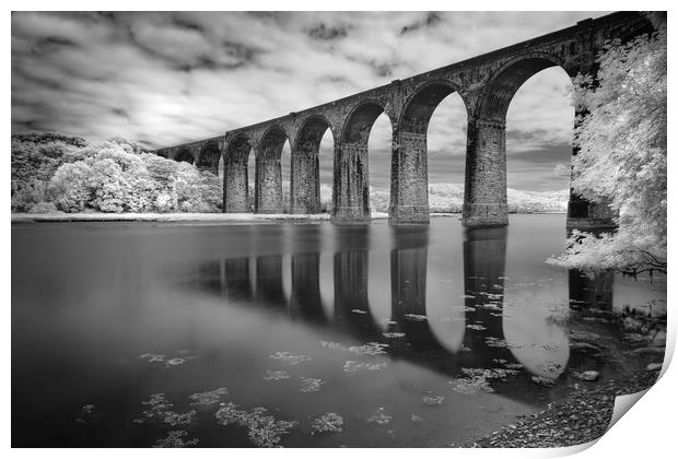 Viaduct Reflections, St Germans, Cornwall Print by Mick Blakey