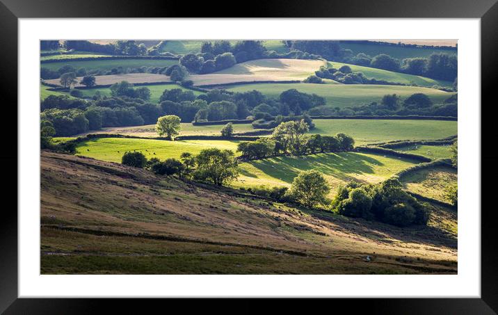 Fields and farmland of South Wales Framed Mounted Print by Leighton Collins