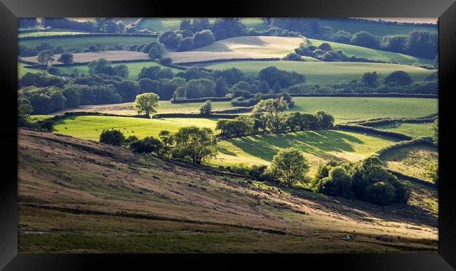 Fields and farmland of South Wales Framed Print by Leighton Collins