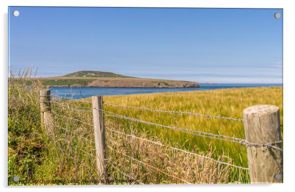 View towards Ramsey Island Acrylic by Chris Yaxley