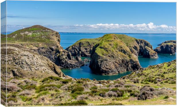 A view from RSPB Ramsey Island, Pembrokeshire Canvas Print by Chris Yaxley