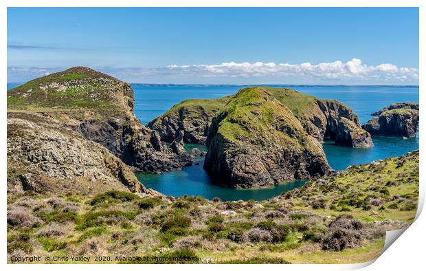 A view from RSPB Ramsey Island, Pembrokeshire Print by Chris Yaxley