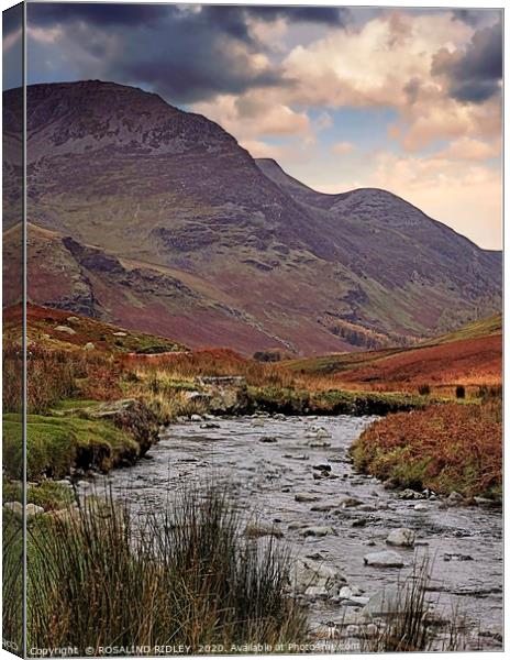 "Painterly Honister " Canvas Print by ROS RIDLEY