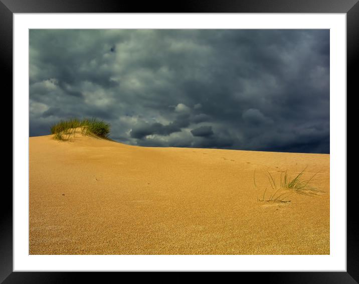 sand dune, bush and thunderstorm Framed Mounted Print by federico stevanin