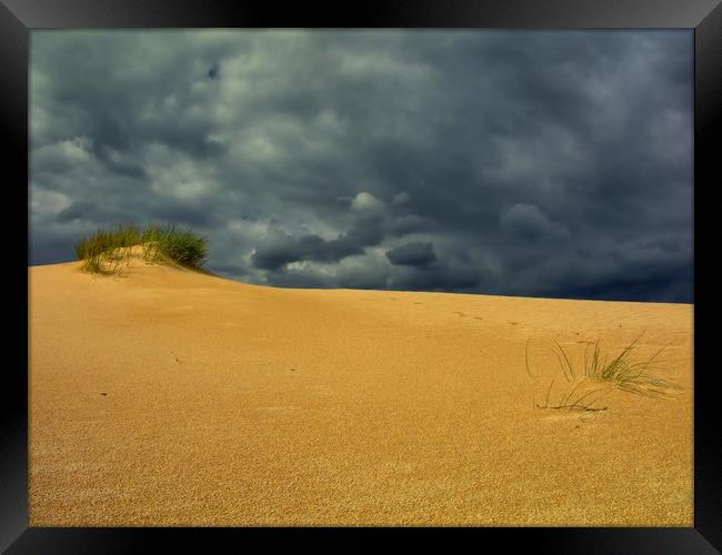 sand dune, bush and thunderstorm Framed Print by federico stevanin
