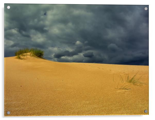 sand dune, bush and thunderstorm Acrylic by federico stevanin