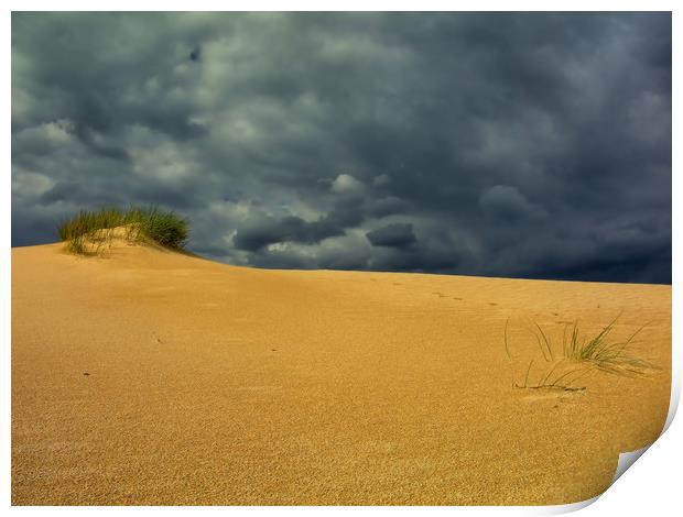 sand dune, bush and thunderstorm Print by federico stevanin