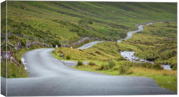 Winding Welsh mountain road Canvas Print by Leighton Collins