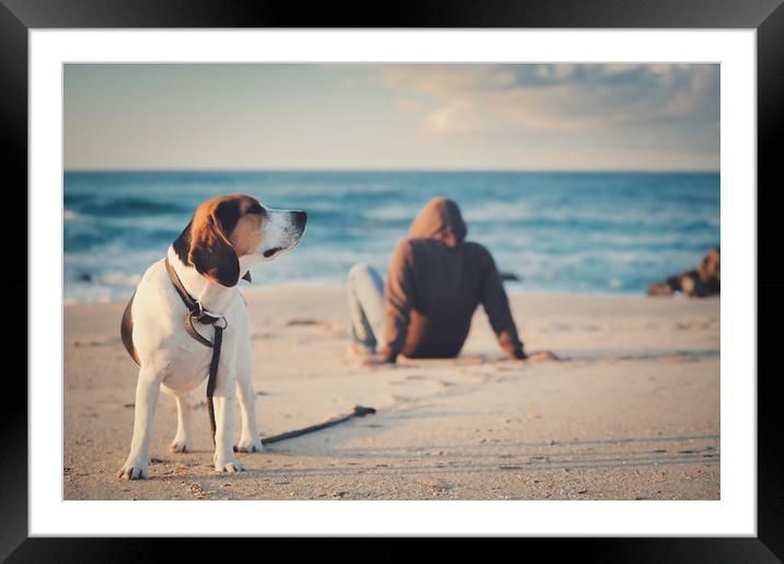 thoughts at sunset me and my dog Framed Mounted Print by federico stevanin