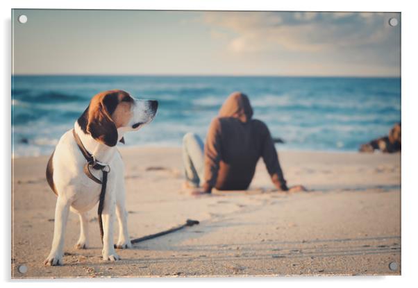 thoughts at sunset me and my dog Acrylic by federico stevanin