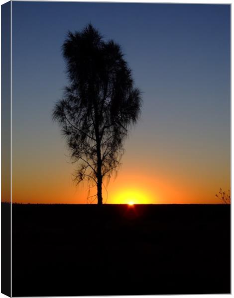 Sunrise near Uluru, Australia Canvas Print by Christopher Stores