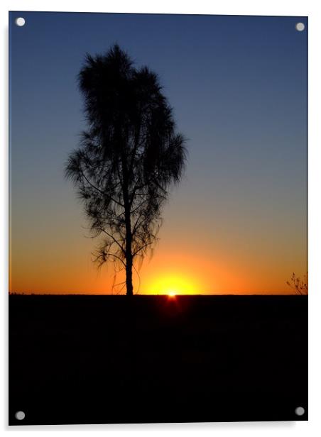 Sunrise near Uluru, Australia Acrylic by Christopher Stores