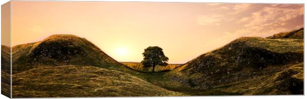 Sycamore Gap Canvas Print by Northeast Images
