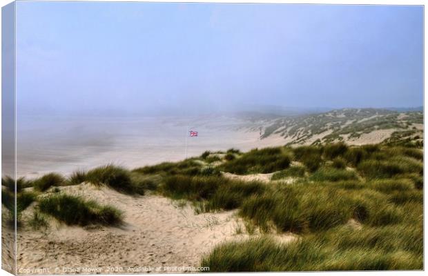 Camber Sands Sussex  Canvas Print by Diana Mower