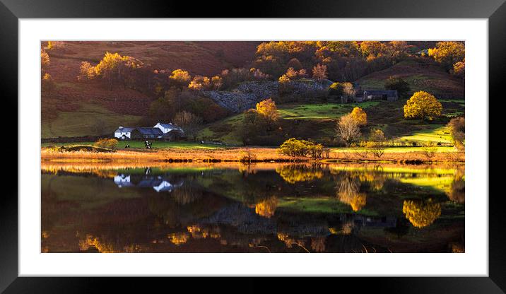 Little Langdale tarn Autumn reflections Framed Mounted Print by John Finney