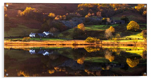 Little Langdale tarn Autumn reflections Acrylic by John Finney