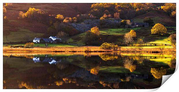 Little Langdale tarn Autumn reflections Print by John Finney