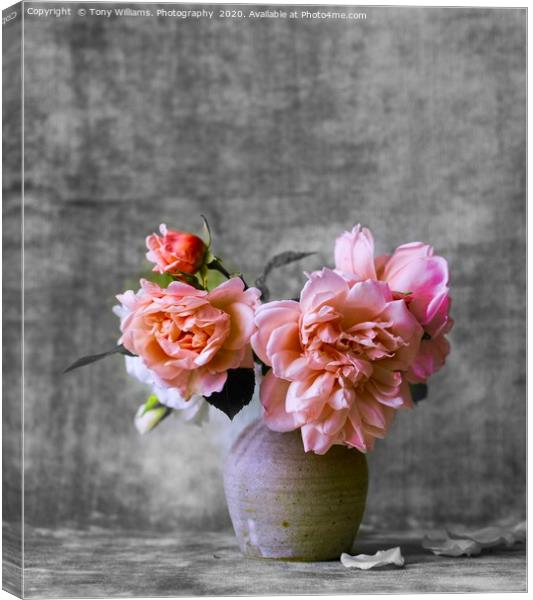 Pink Roses  Canvas Print by Tony Williams. Photography email tony-williams53@sky.com