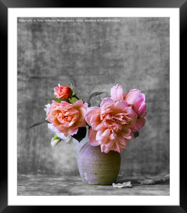 Pink Roses  Framed Mounted Print by Tony Williams. Photography email tony-williams53@sky.com
