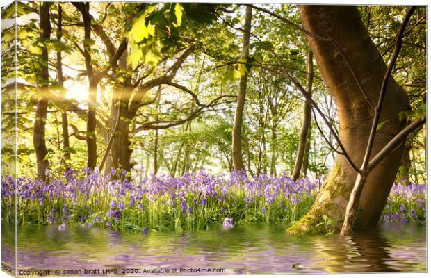 Amazing lake in bluebell woods at dawn Canvas Print by Simon Bratt LRPS