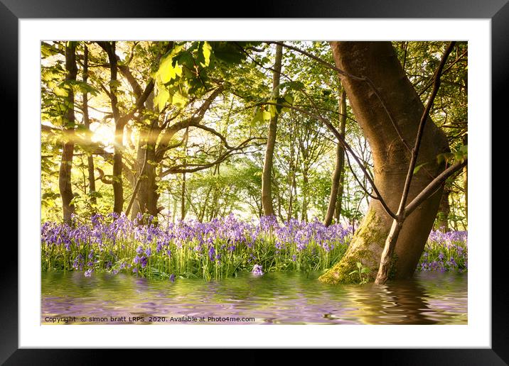 Amazing lake in bluebell woods at dawn Framed Mounted Print by Simon Bratt LRPS