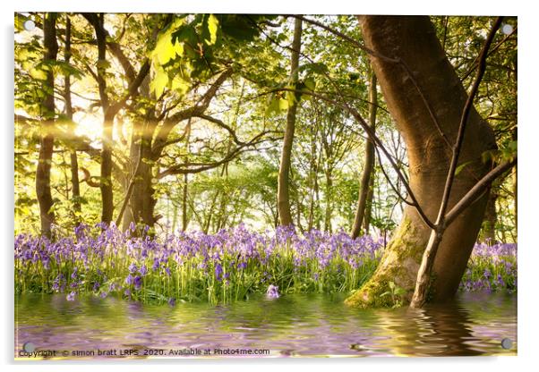 Amazing lake in bluebell woods at dawn Acrylic by Simon Bratt LRPS