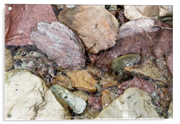 Water Pebbles Acrylic by Rob Hawkins