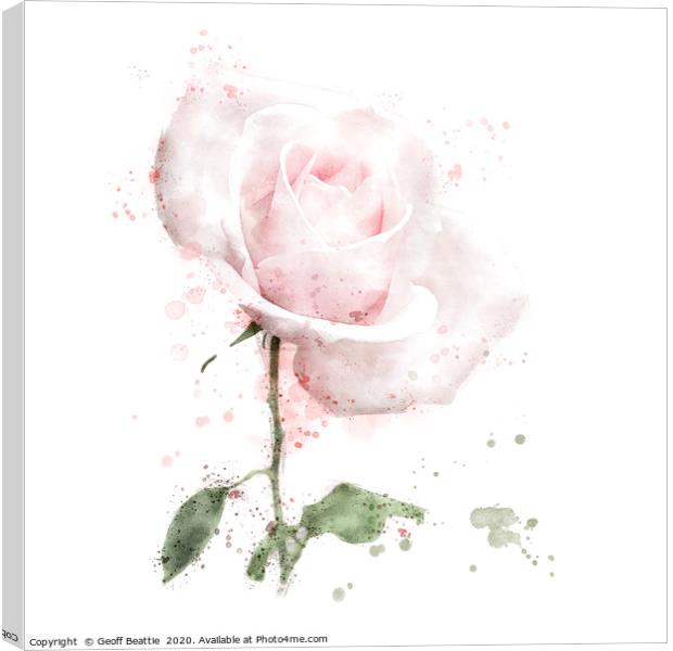 Pink rose in digital watercolour Canvas Print by Geoff Beattie