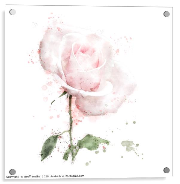Pink rose in digital watercolour Acrylic by Geoff Beattie