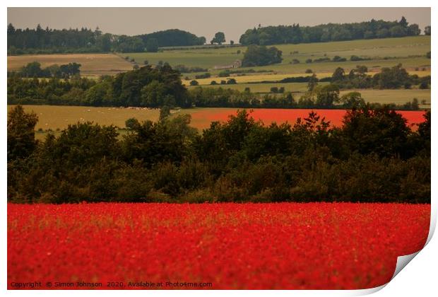 Cotswold Poppy fields Print by Simon Johnson