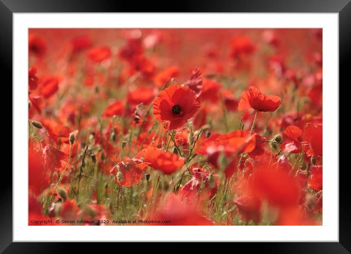 poppy close up Framed Mounted Print by Simon Johnson