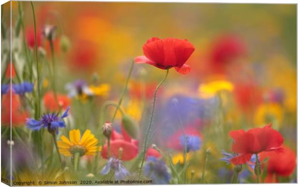 poppy and meadow flowers, Canvas Print by Simon Johnson