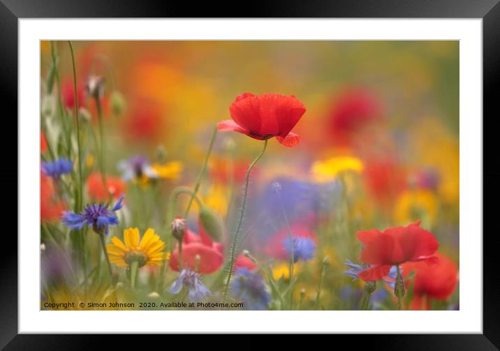 poppy and meadow flowers, Framed Mounted Print by Simon Johnson