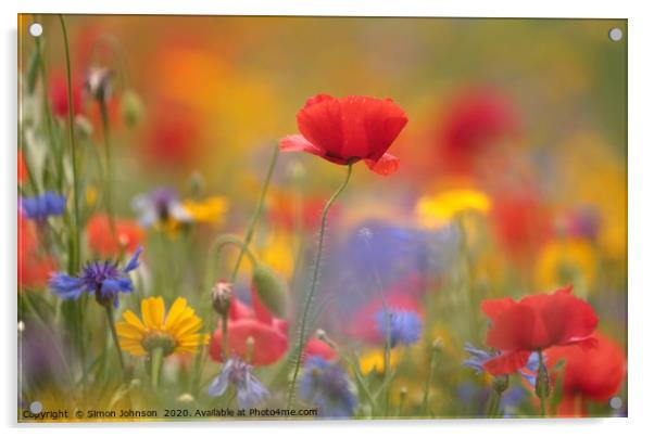 poppy and meadow flowers, Acrylic by Simon Johnson