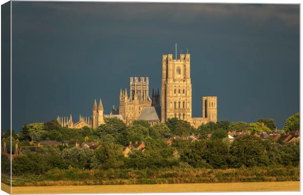 Golden Ely Cathedral at Dusk Canvas Print by Andrew Sharpe
