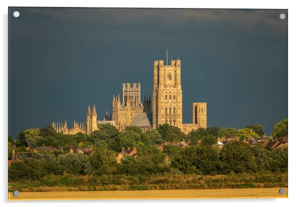 Golden Ely Cathedral at Dusk Acrylic by Andrew Sharpe