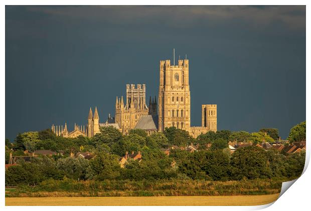 Golden Ely Cathedral at Dusk Print by Andrew Sharpe