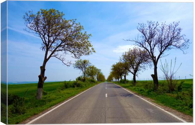 The road that takes you to the Black Sea           Canvas Print by liviu iordache