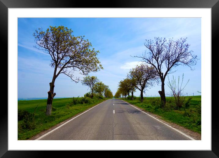 The road that takes you to the Black Sea           Framed Mounted Print by liviu iordache