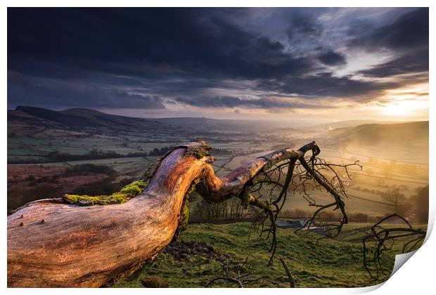 Hope Valley, Fallen tree sunrise Print by John Finney