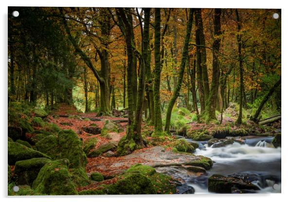 Autumn Woodland, Golitha Falls, Cornwall Acrylic by Mick Blakey