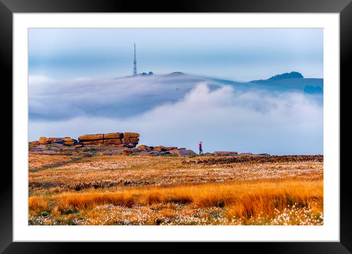 Stanage Edge Cotton Grass and Fog at sunrise Framed Mounted Print by John Finney